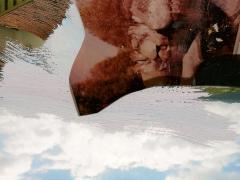 "Sobre el paisaje #0", acrílico sobre collage fotográfico, 8,5 x 15 cm, 2010